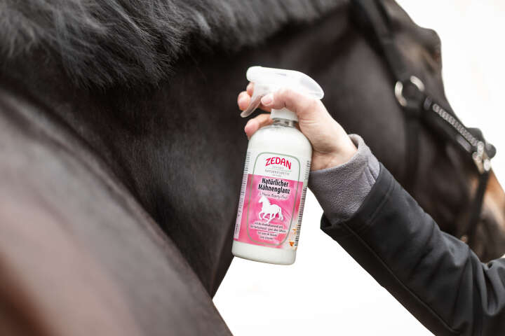 ZEDAN Natürlicher Mähnenglanz 500ml